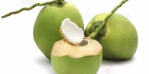 Organic Tender Coconut