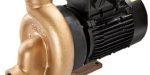 Bronze Filter Pump