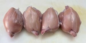 Halal Frozen Whole Chicken