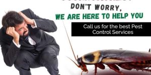 Cockroach Control Services