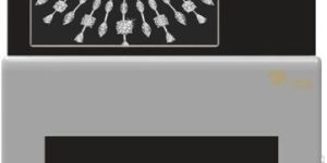 Trusure Mobile Diamond Authentication Machine