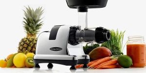 Omega J8228C Cold Press Juicer