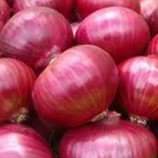 Fresh Onion