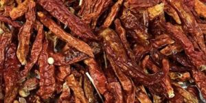 LONG TYPE CHILLI