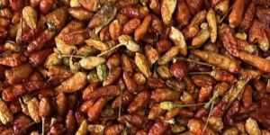 Dry Red Chilli