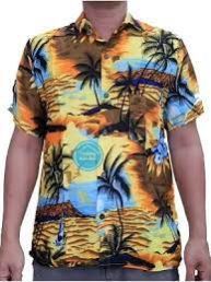 Half Sleeve Shirt