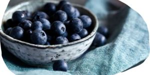 Fresh Blueberry