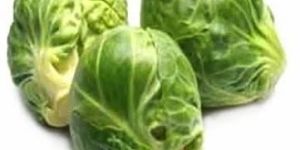 Fresh Brussel Sprout