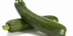 Fresh Green Zucchini