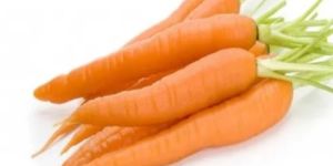 Fresh Orange Carrot