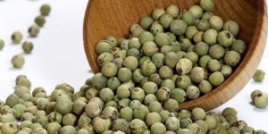 Fresh Spice Green Pepper