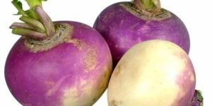 Fresh Turnip