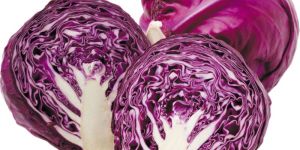 Fresh Purple Cabbage