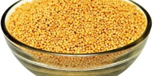 Yellow Mustard Seeds