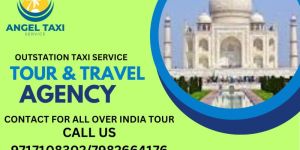 Tourist Bus Services