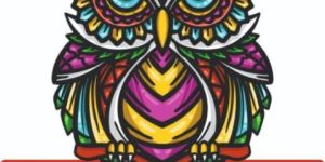 Owl Key Holder