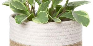 Cotton Rope Planter