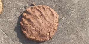Cow Dung Cake
