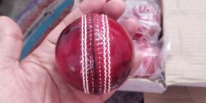 Cricket Leather Ball