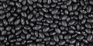 Black Kidney Beans