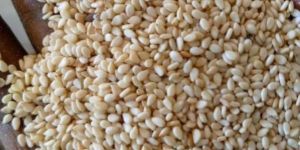 Natural Sesame Seeds