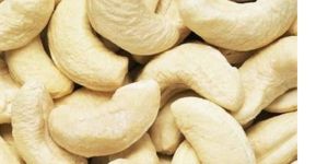 Processed Cashew Nuts