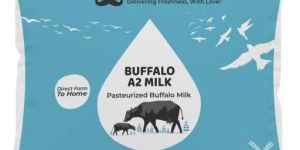 Buffalo Milk