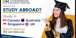 Study Abroad Consultant Services