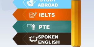 Study Visa Consultancy