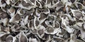 Murungai Vithai Powder