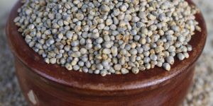 Raw Green Millets