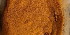 Cordyceps Militaris Dried Body Powder