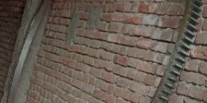 Tyrerecycling Plant Gear