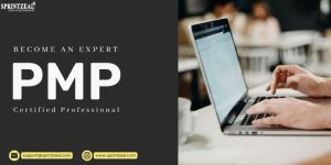 Pmp Certification