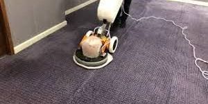 Professional Carpet Cleaning Service