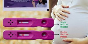 Pregnancy Test Kits