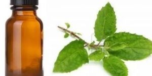 Basil Natural Essential Oil