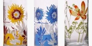 Printed Fancy Glass Tumblers