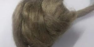 Tussah Silk Fibers