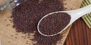 Brown Mustard Seeds