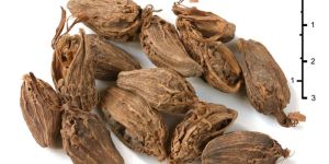 Dry Natural Black Cardamom