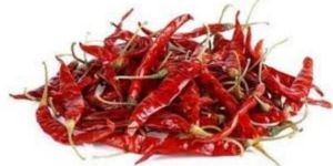 Dry Red Chilli