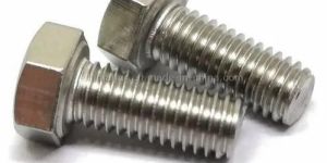 Stainless Steel Hex Bolts