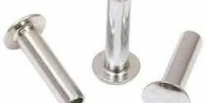 MS Hollow Rivet