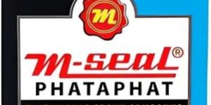 Pidilite M Seal
