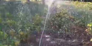 Spray Pipe Rain Hose