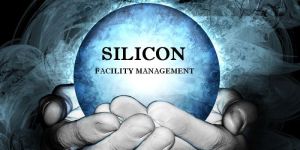 Management Consulting Services