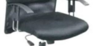 Office Director Chair