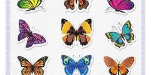 Butterfly Print Sticker