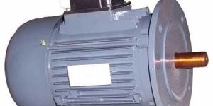 Vertical Type Electric Motor